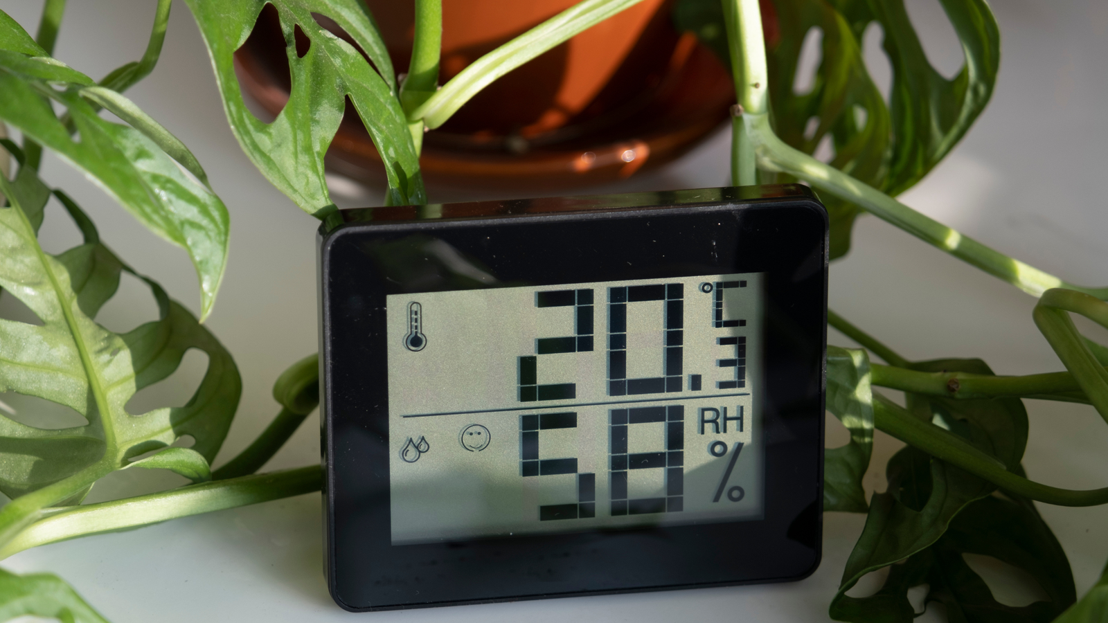 Drėgmės ir temperatūros matuoklis – pagalba kovojant su dulkių erkutėmis namuose