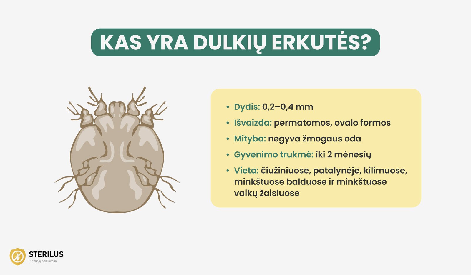 kas yra patalynės dulkių erkutės?