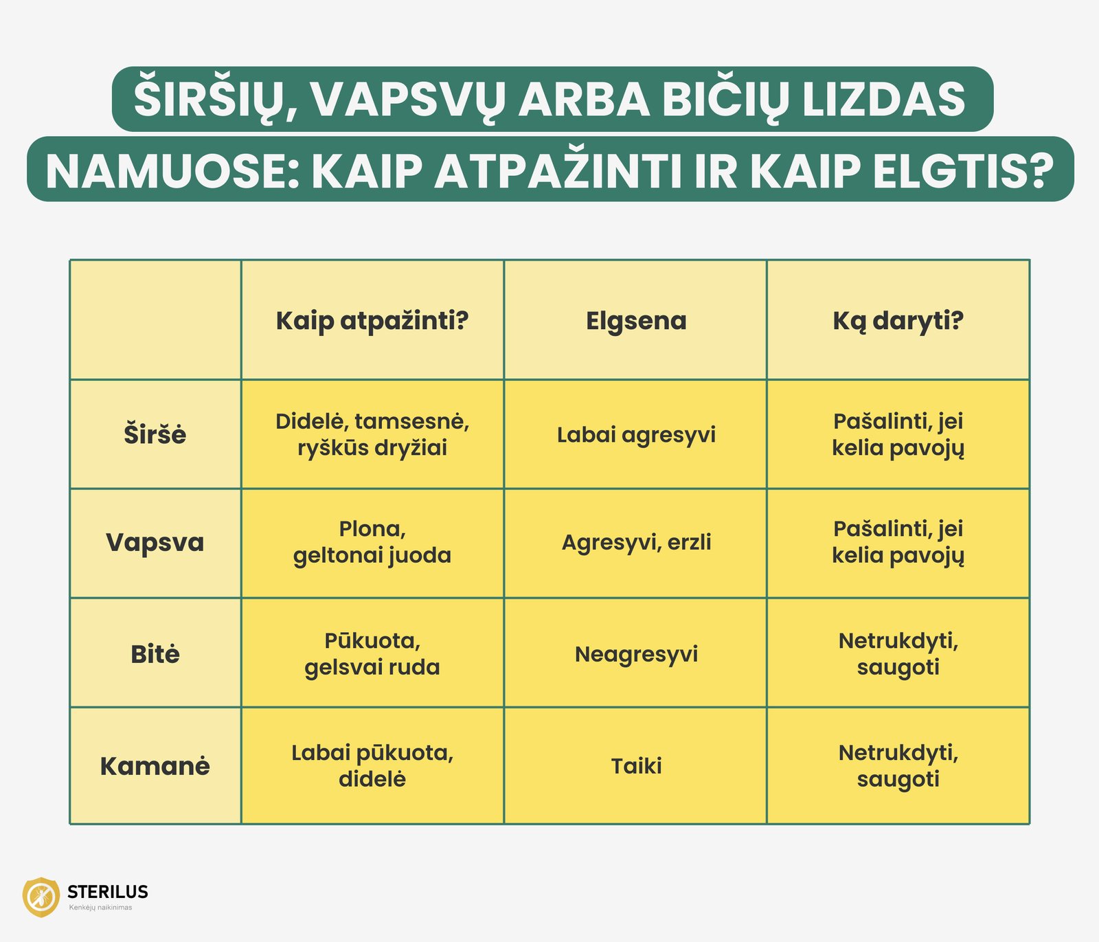 Širšių, vapsvų arba bičių lizdas namuose: patarimai kaip atpažinti ir kaip elgtis radus lizdą