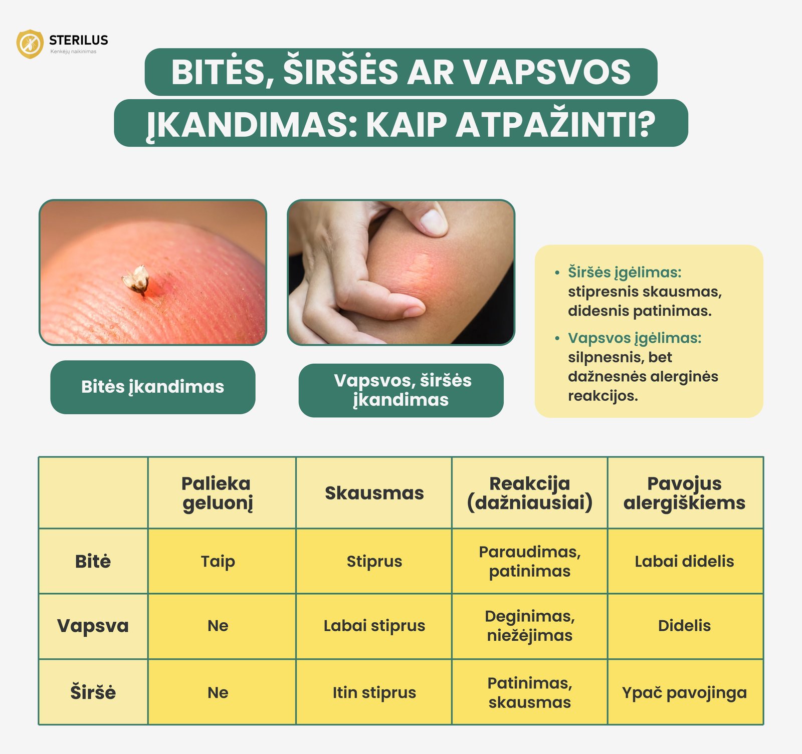 Bitės, širšės ar vapsvos įkandimas - informacija kaip atpažinti įkandimus ir kuo jie skiriasi