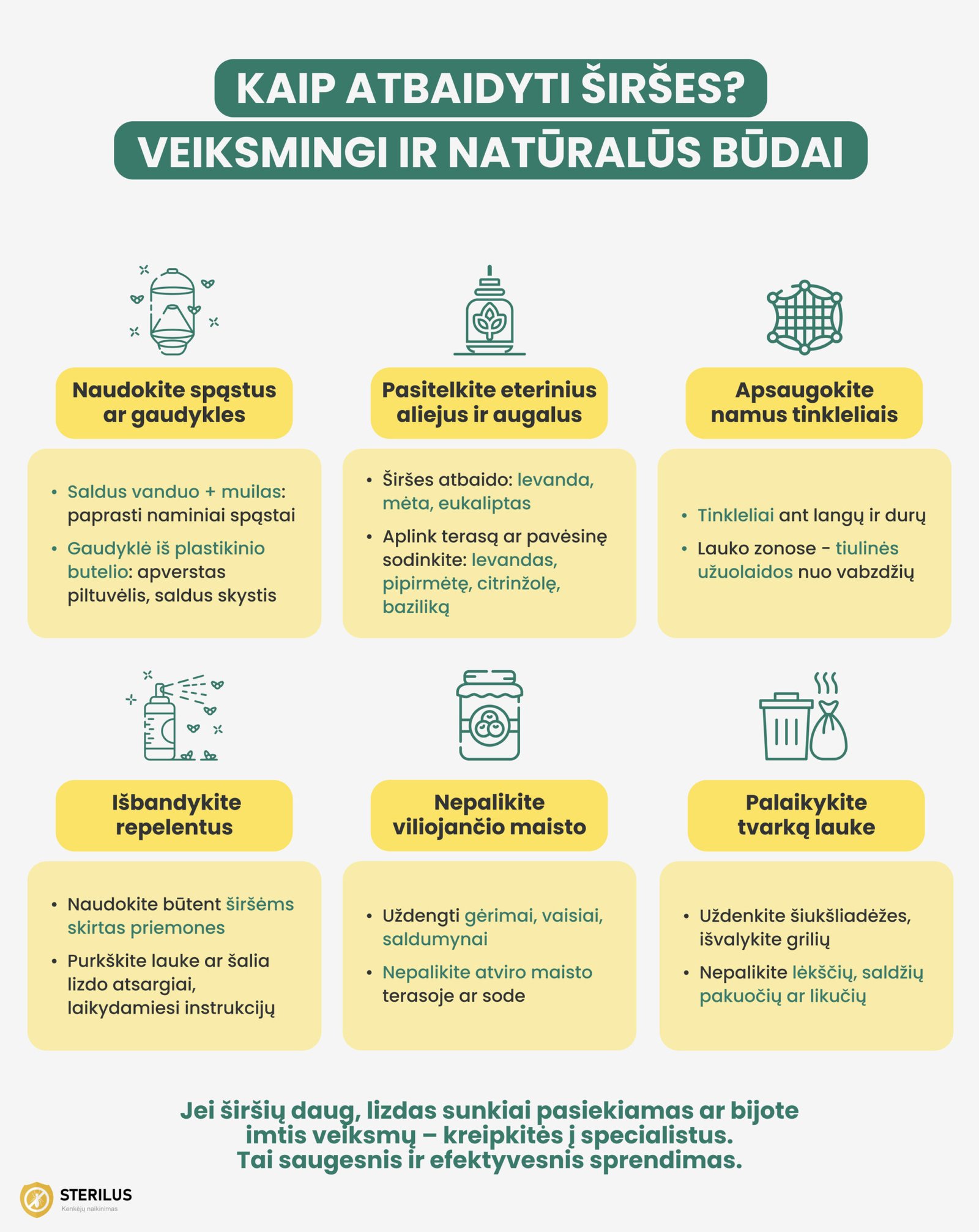 Kaip atbaidyti širšes? Veiksmingi ir natūralūs būdai: naudokite gaudykles, eterinius aliejus, augalus, tinklelius, repelentus, nepalikite maisto ir palaikykite tvarką