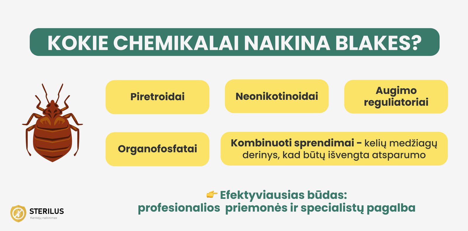 Kokie chemikalai naikina blakes? Piretroidai, neonikotinoidai, augimo reguliatoriai, organofostatai ar kombinuoti sprendimai.