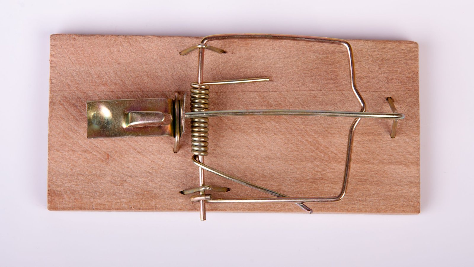 mechanical mouse traps