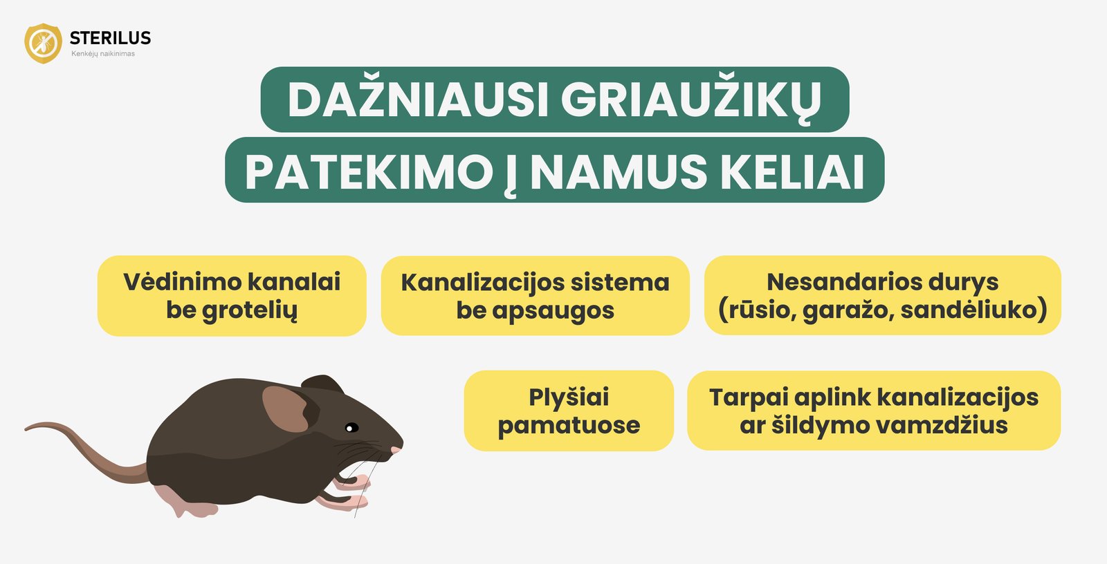 Dažniausi graužikų patekimo į namus keliai: vėdinimo kanalai, kanalizacijos sistema, nesandarios dūrys ir plyšiai.