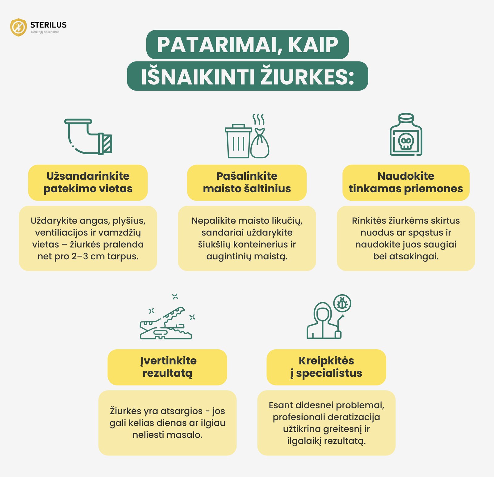 Patarimai, kaip išnaikinti žiurkes: užsandarinti patekimo vietas, pašalinti maisto likučius, naudoti tinkamas priemones ir kreiptis į specialistus.
